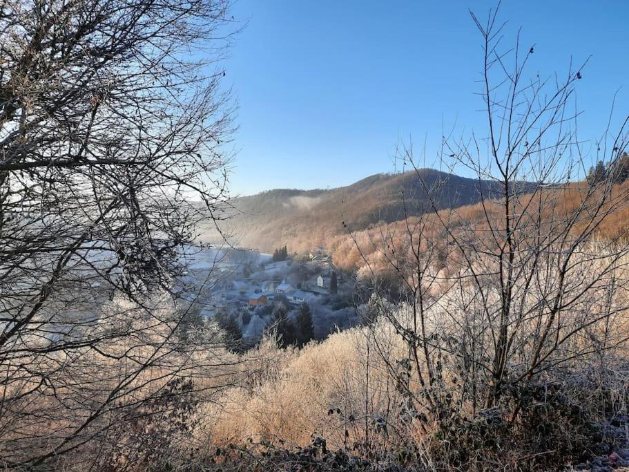 Chalet A L'Oree Du Bois Avec Parking Tournavaux Exteriér fotografie
